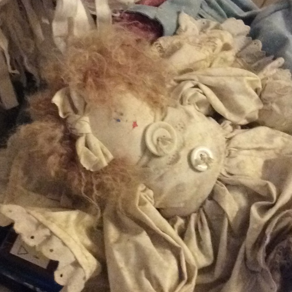 Meet your Posher, Tammy